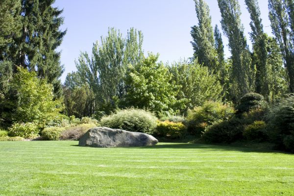 Yard Enlargement in Reno