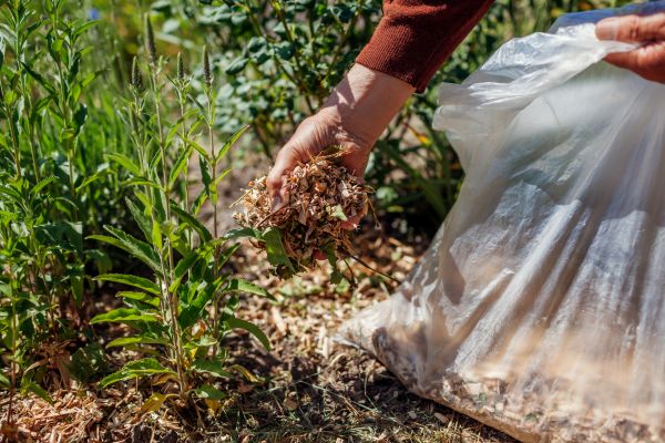Wood Mulch Installation in Reno