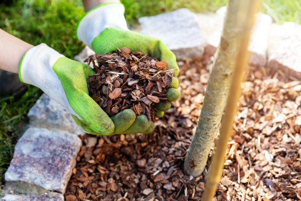 Tree Bark Delivery in Reno