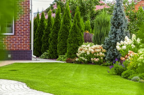 Spring Landscaping in Reno