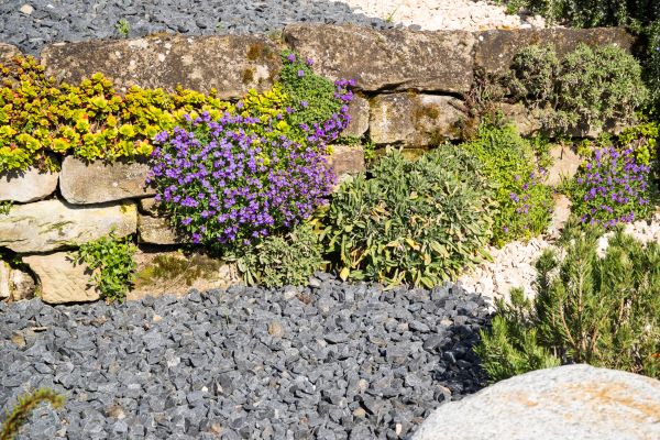 Landscaping Rocks Installation in Reno