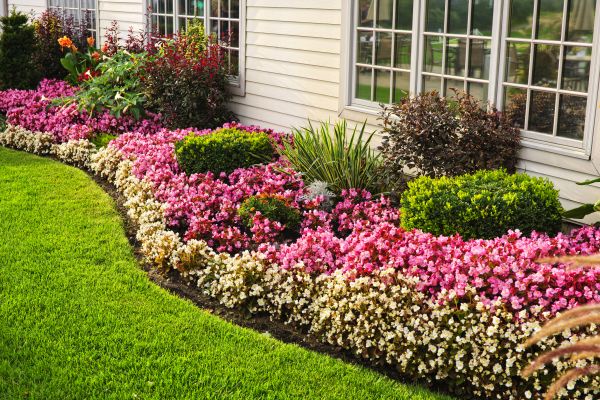 Garden Landscape Design in Reno