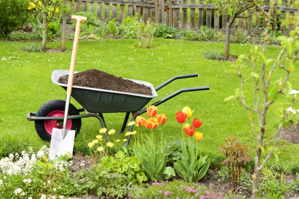Spring Yard Renovation in Reno