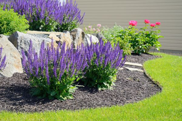 Landscape Planting Service in Reno