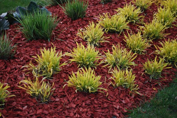 Red Mulch Installation in Reno