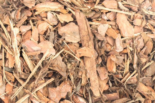 Bark Mulch Installation in Reno