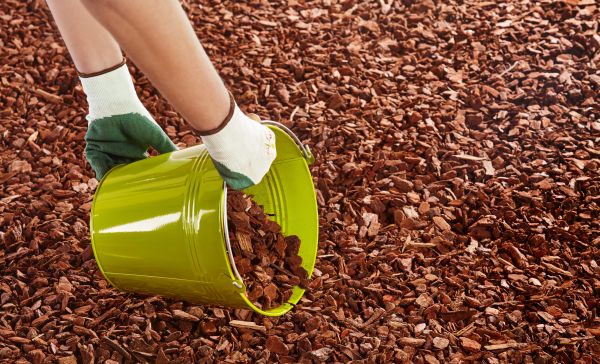 Wood Chip Landscaping in Reno