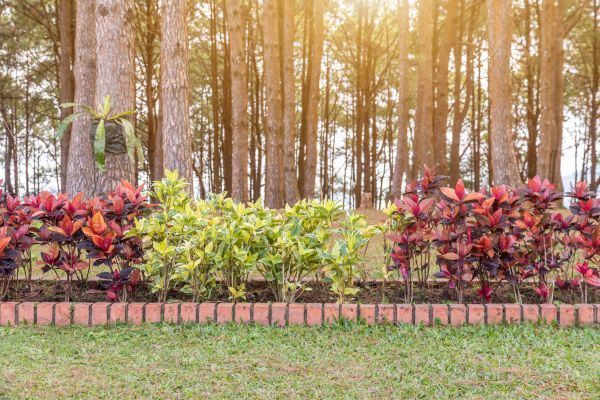Small Garden Landscaping in Reno