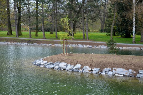 Pond Landscaping Service in Reno