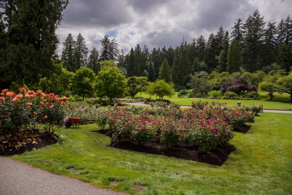 Flower Garden Landscaping in Reno