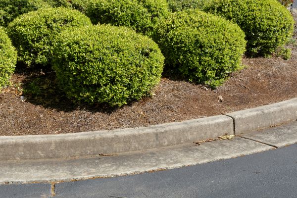 Pine Mulch Installation in Reno