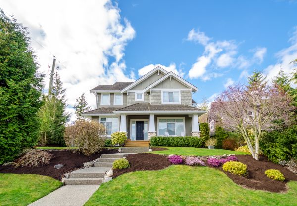 Landscaping Replacement in Reno