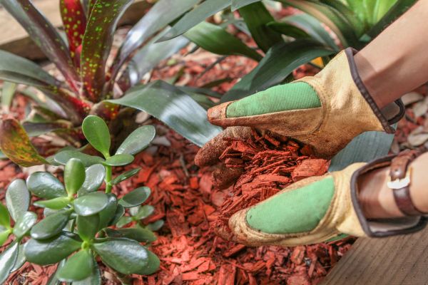 Residential Mulching in Reno