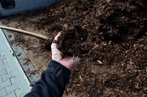Condo Mulching in Reno