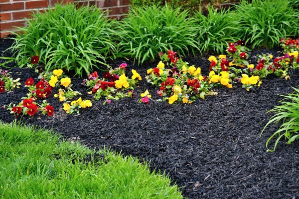 Apartment Mulching in Reno