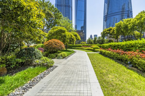 Commercial Landscaping in Reno