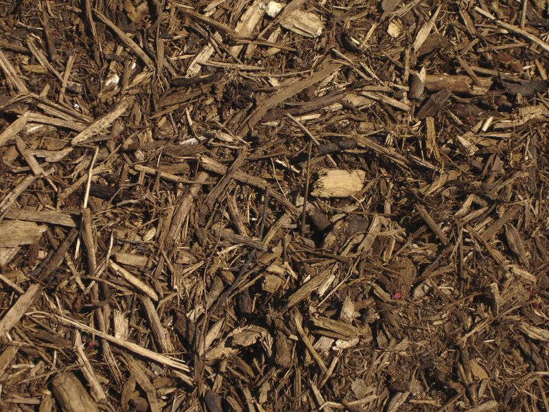 Shredded Mulch Service